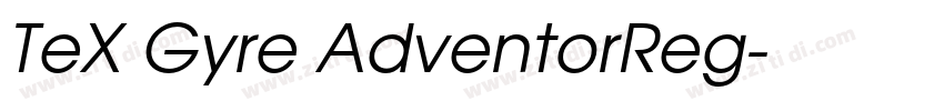 TeX Gyre AdventorReg字体转换